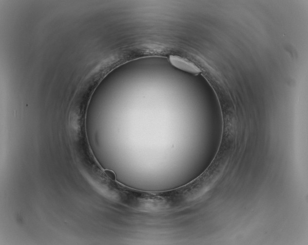 X0000112000215200908031235