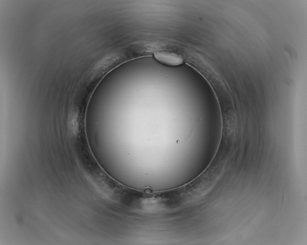 X0000112000216200908031235