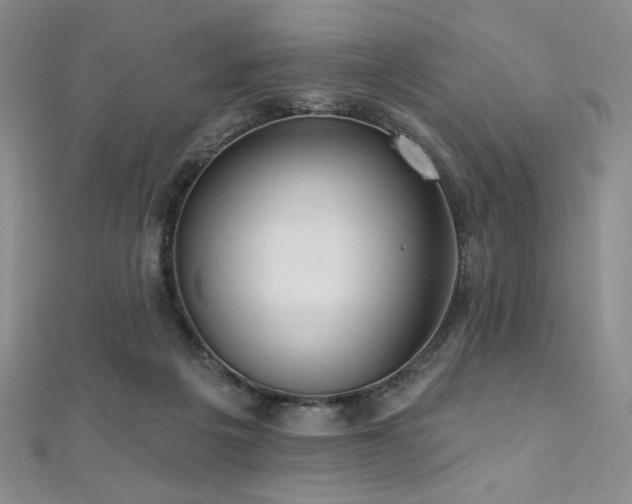 X0000112000217200908031235