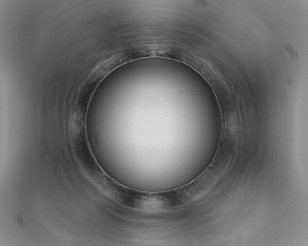 X0000112000218200908031235