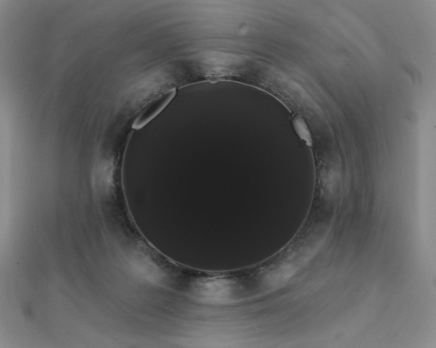 X0000112000219200908031235