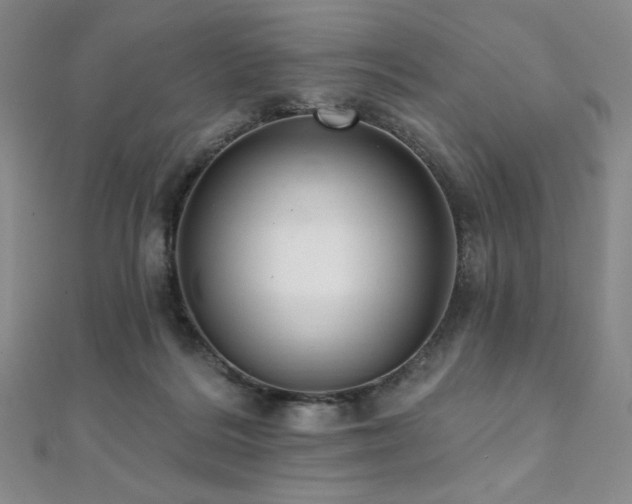 X0000112000220200908031235