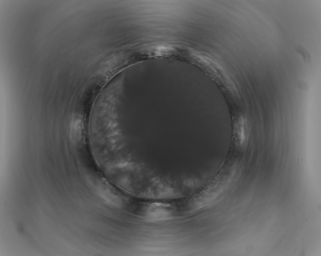 X0000112000222200908031235