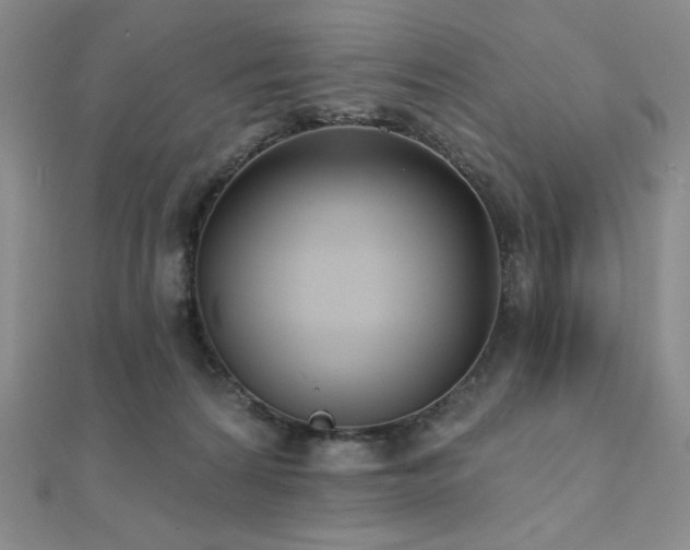 X0000112000224200908031235