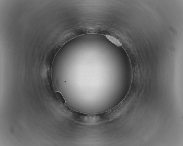 X0000112000225200908031235