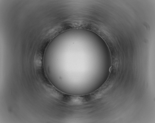 X0000112000226200908031235