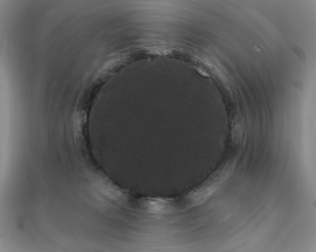 X0000112000229200908031235