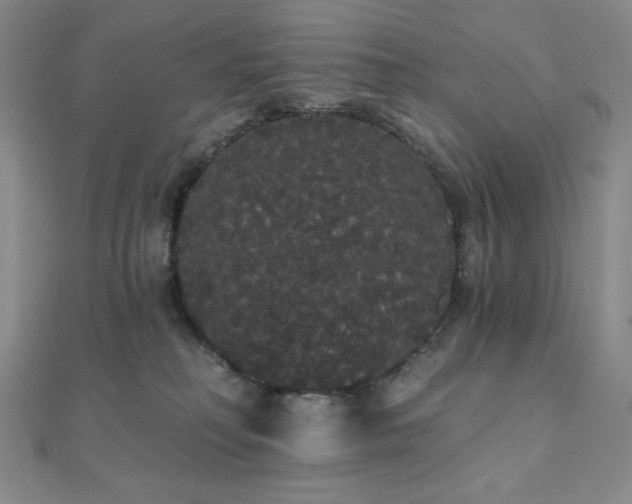 X0000112000230200908031235