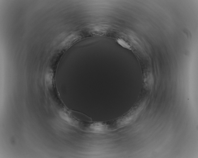 X0000112000231200908031235