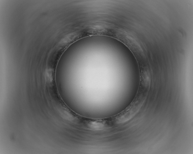 X0000112000232200908031235