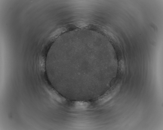 X0000112000234200908031235