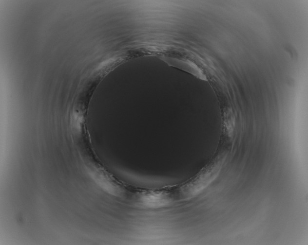 X0000112000235200908031235