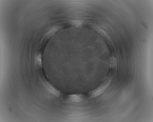 X0000112000238200908031235