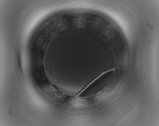 X0000112000239200908031235