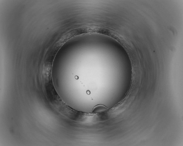 X0000112000240200908031235