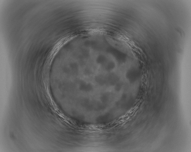 X0000112000241200908031234