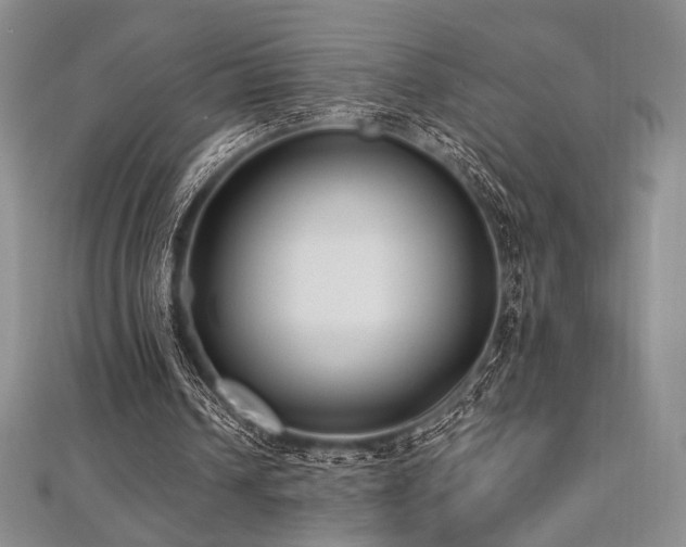 X0000112000242200908031234