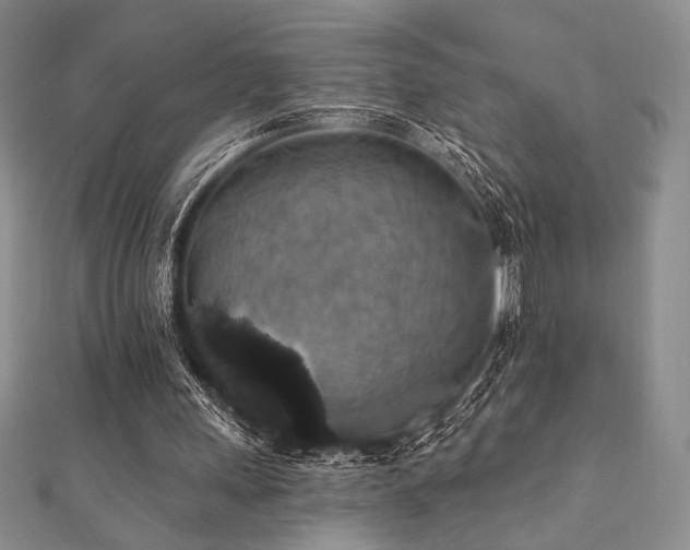 X0000112000243200908031234