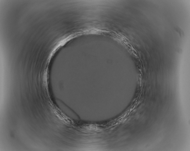 X0000112000244200908031234