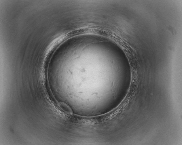 X0000112000245200908031234