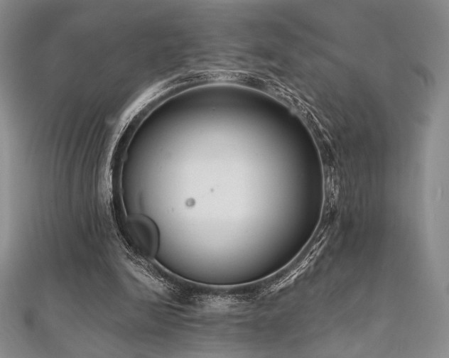 X0000112000246200908031234