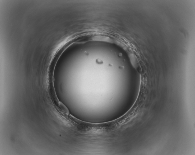 X0000112000248200908031234