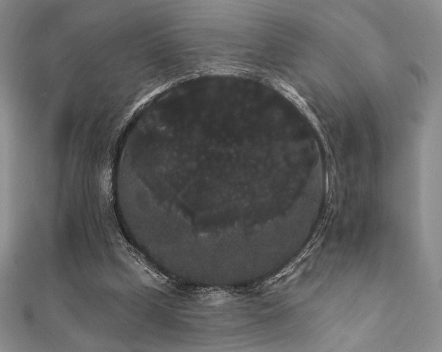 X0000112000249200908031234