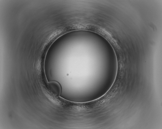 X0000112000250200908031234