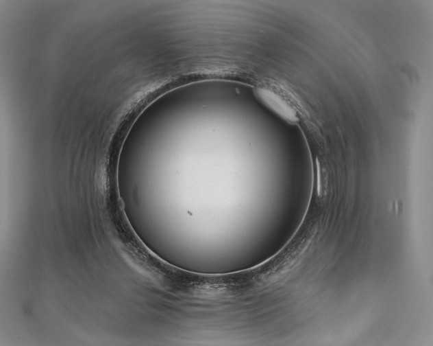 X0000112000252200908031234