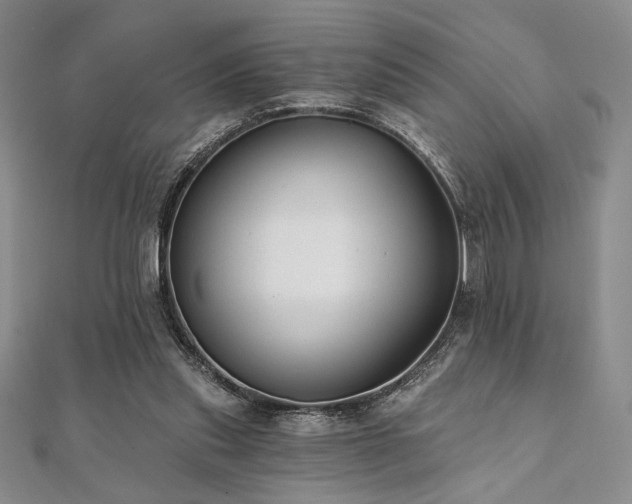 X0000112000253200908031234