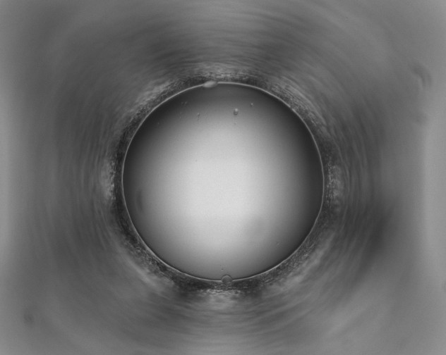 X0000112000255200908031234