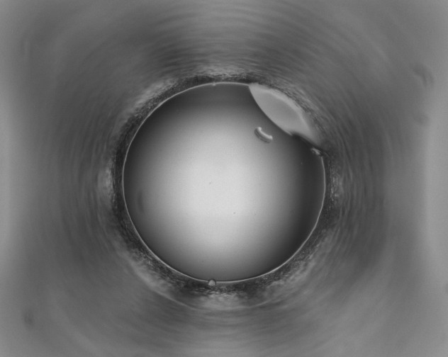 X0000112000256200908031234