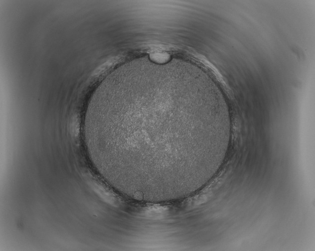 X0000112000257200908031234