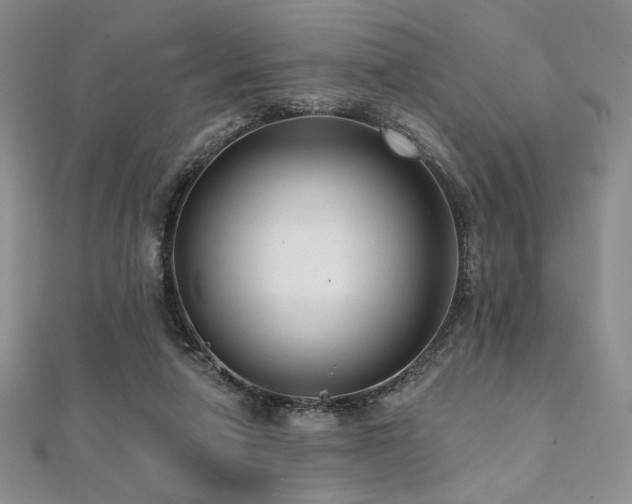 X0000112000258200908031234