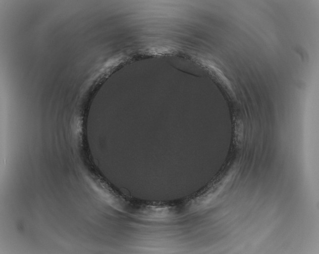 X0000112000260200908031234