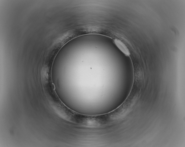 X0000112000264200908031235