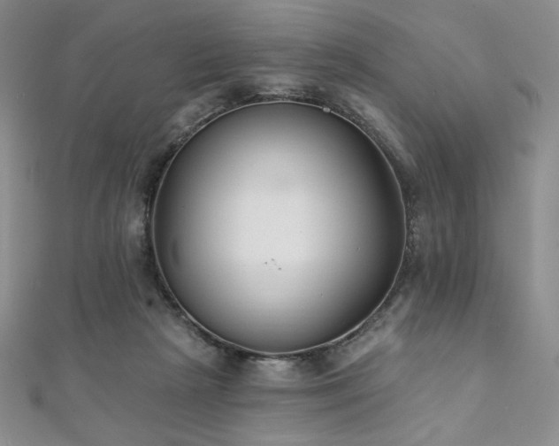 X0000112000265200908031235