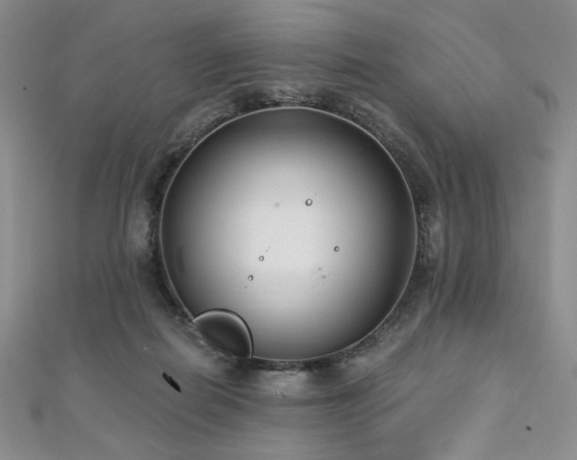 X0000112000266200908031235