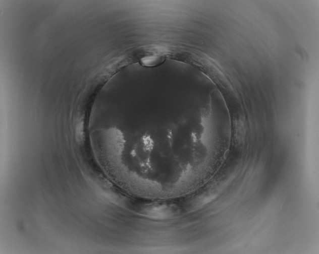 X0000112000267200908031235