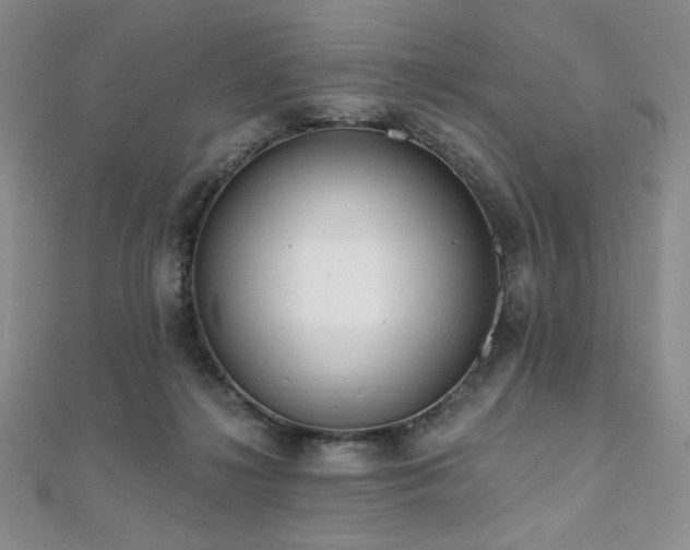 X0000112000268200908031235