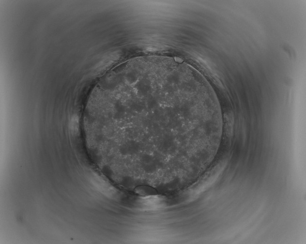 X0000112000269200908031235