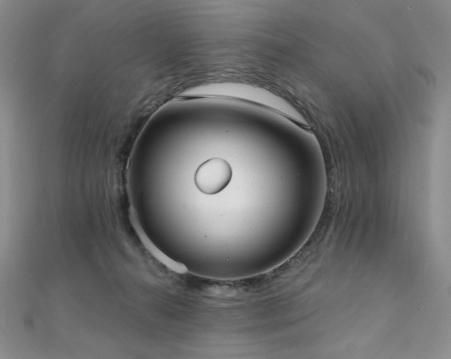 X0000112000272200908031235