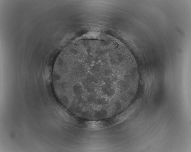 X0000112000273200908031235