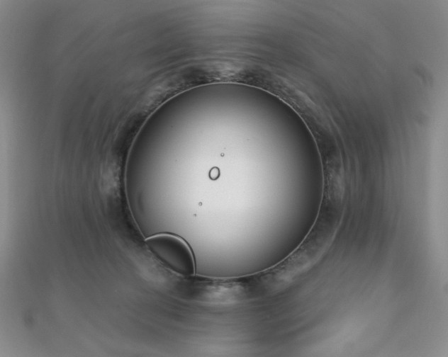 X0000112000274200908031235