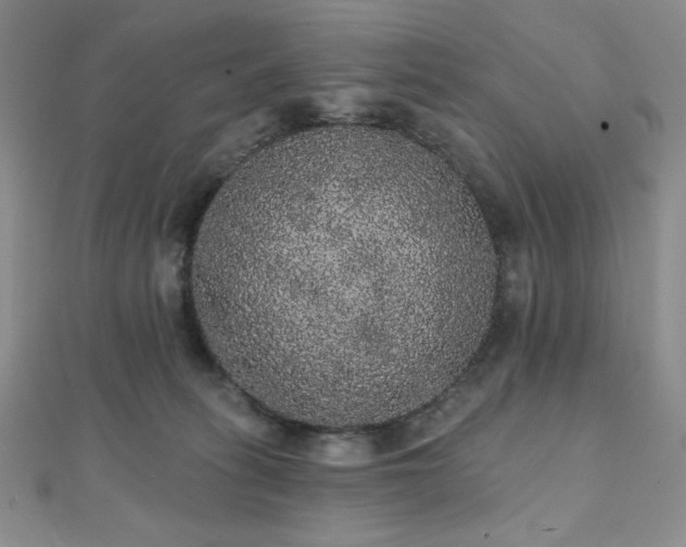 X0000112000275200908031235