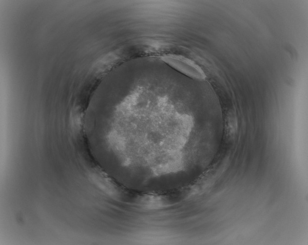 X0000112000276200908031235