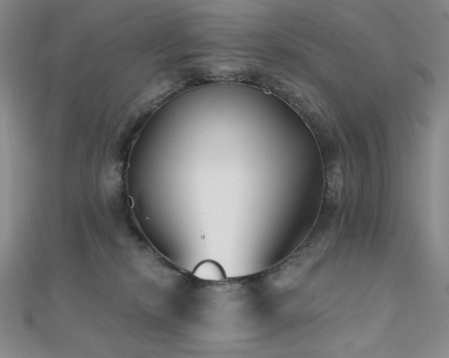 X0000112000278200908031235