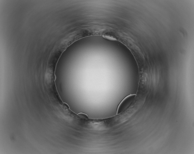 X0000112000283200908031235