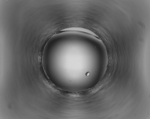 X0000112000284200908031235