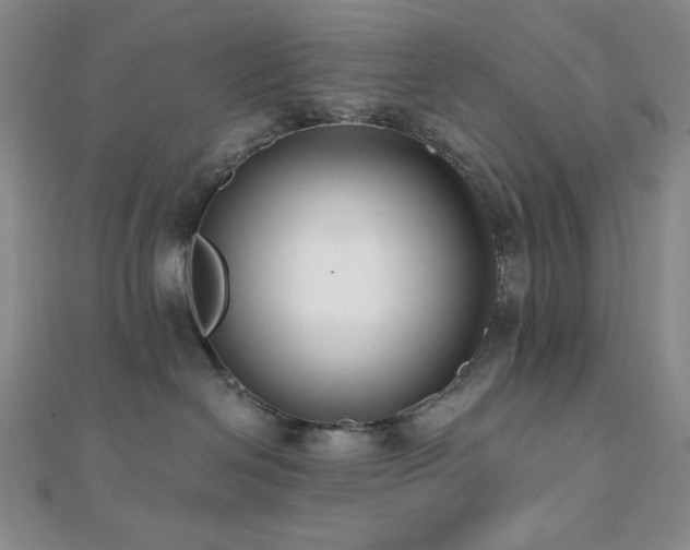 X0000112000286200908031235